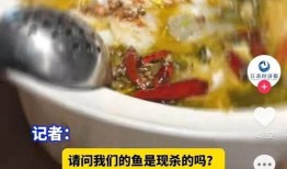 爆料三道菜新闻